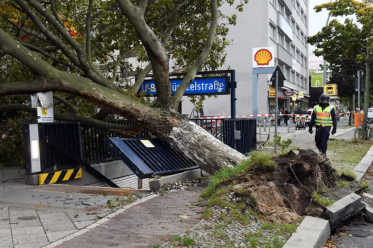 95d9fb83625ca7374900e2910afb6237