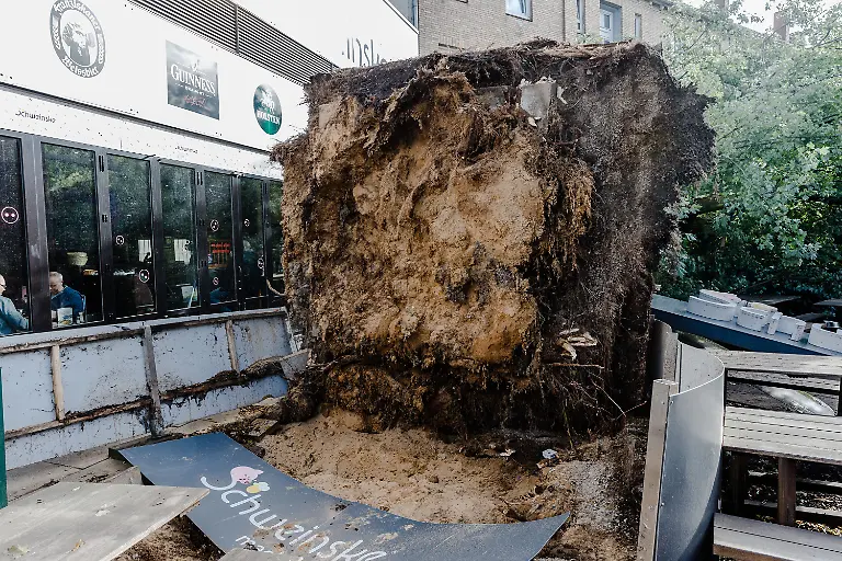 fc184c437a2f0975a4b11314fc7e7654