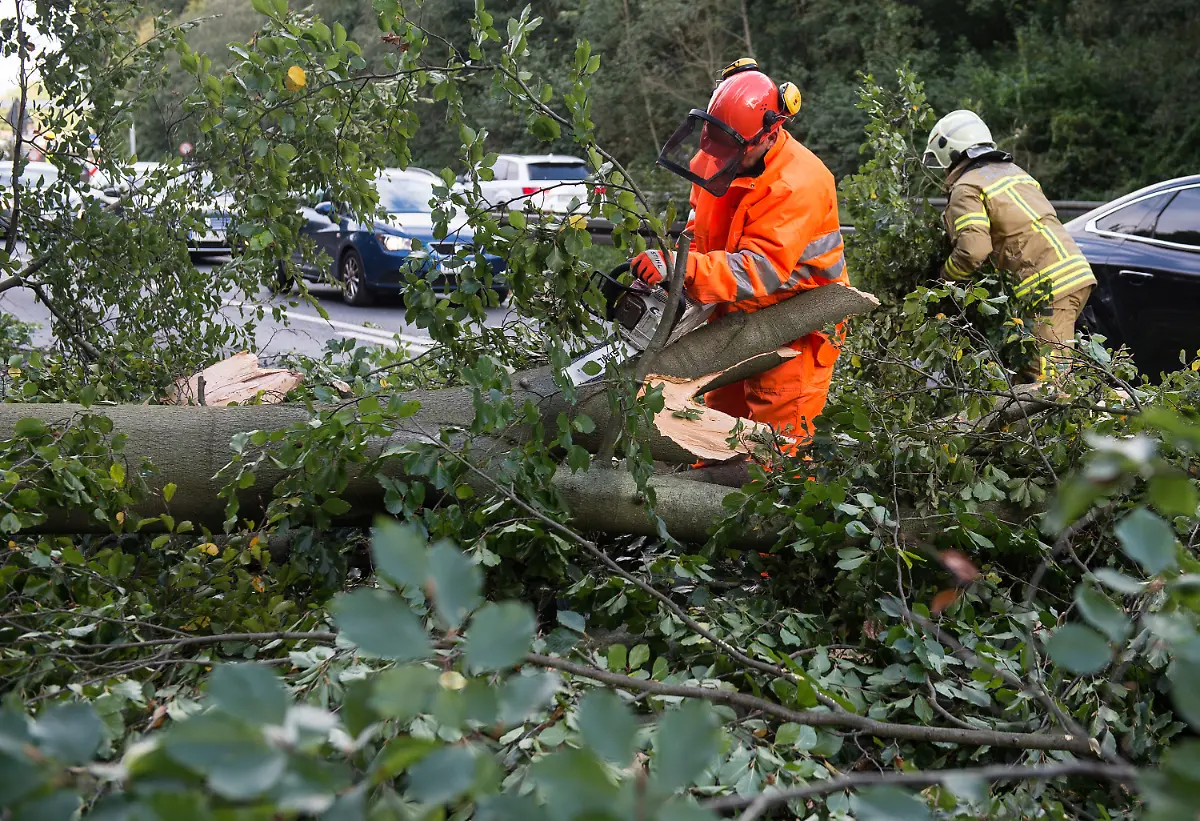 1a8e6c8c9cc68bb2495e0cffcd6bac43