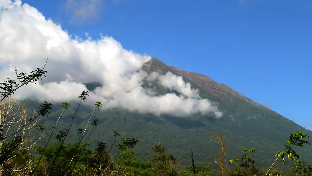 e7713809e963f053cbd0b65409dac9ba