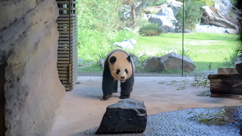 8e650402fc5b44e3f1ef6fe57f36b79e