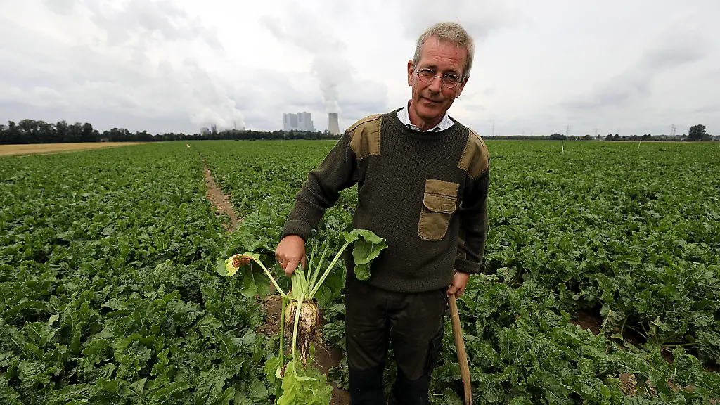 2df535de0aa06bd703dd634a45563291