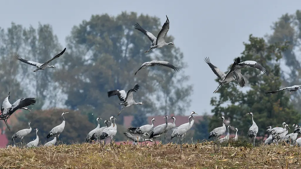 3cef184856bcaab66e42b5bfa9bb6c02