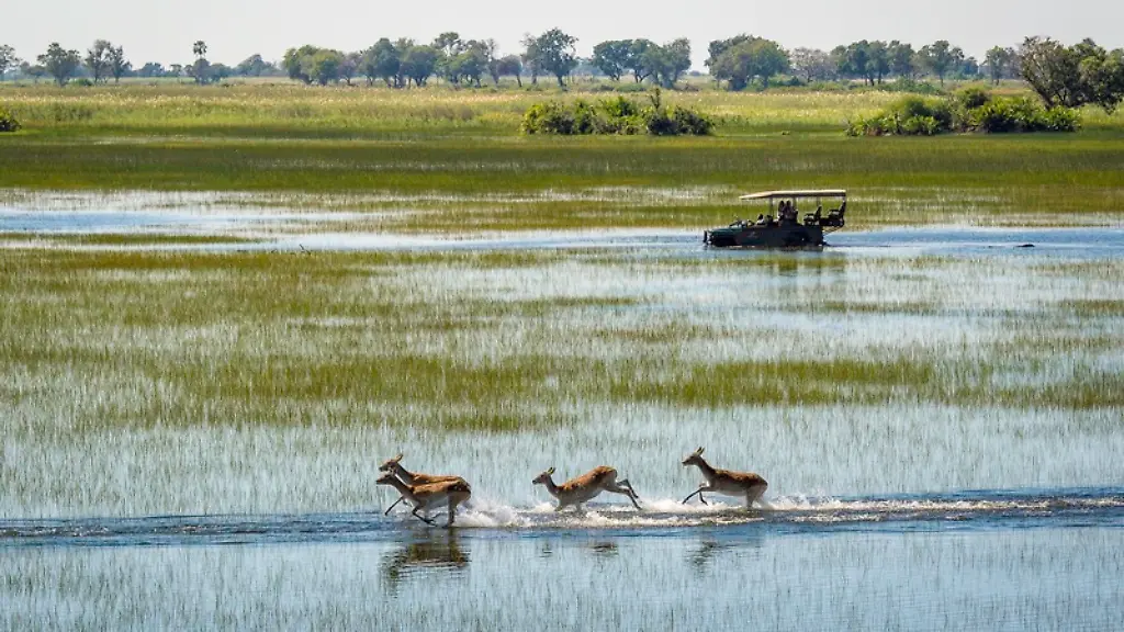 Nur-im-Zusammenhang-mit-dem-genannten-Text