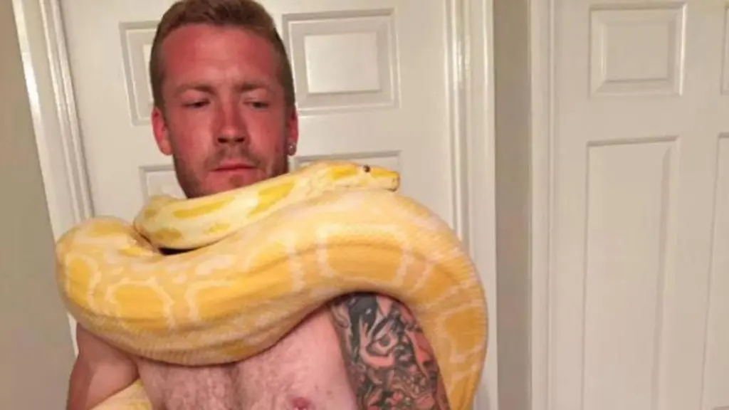 Dan-Brandon-mit-Schlange