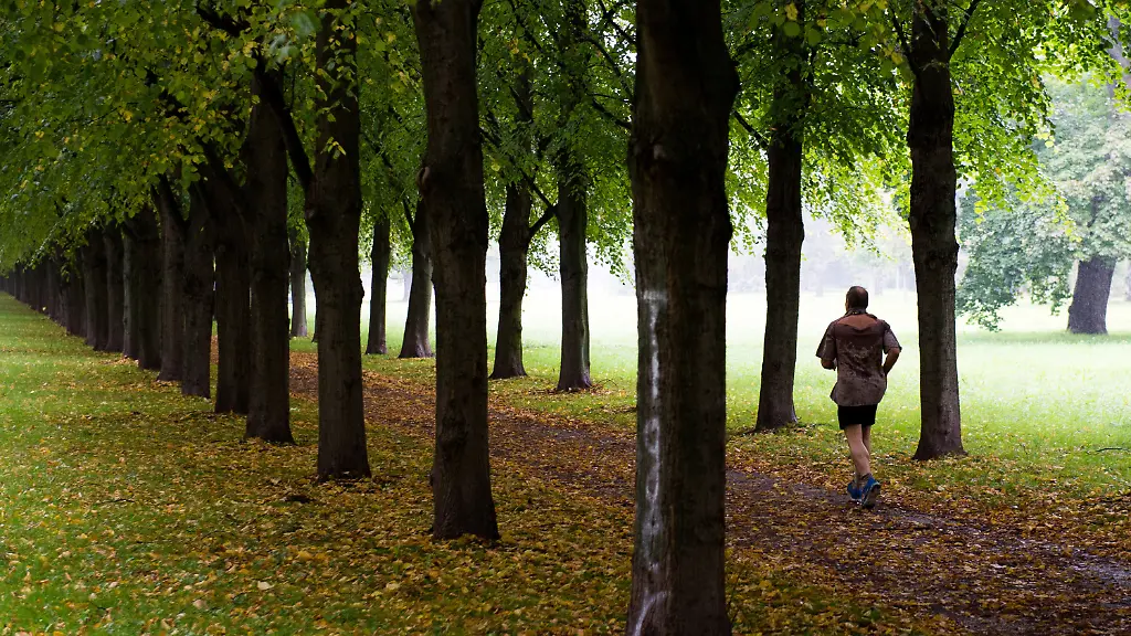 182dbc38acd25f69142b170f59e6592f