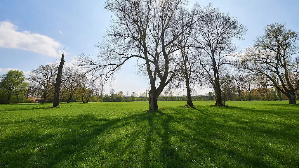 64b6bb28e68538b998ca9730aba84572