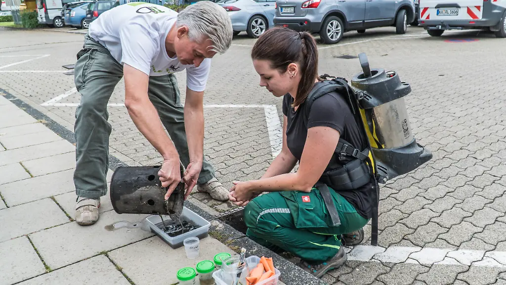 a1086dc425e661a1ad8547e2469c9e55