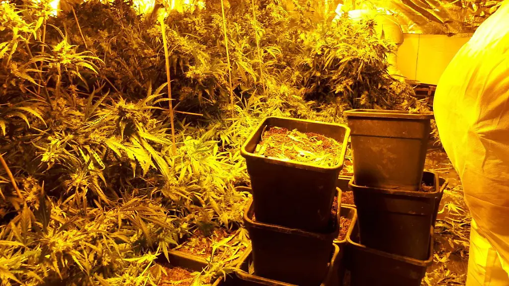 c105109ce467749f6836cd9a60fd391a