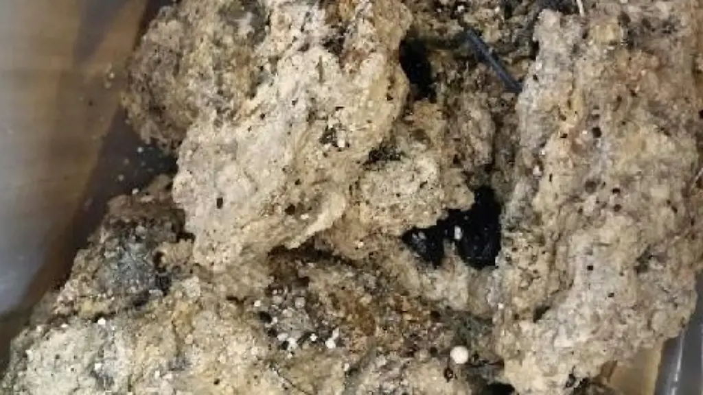 7abcf5a4721690d1336d720bbc74f42b