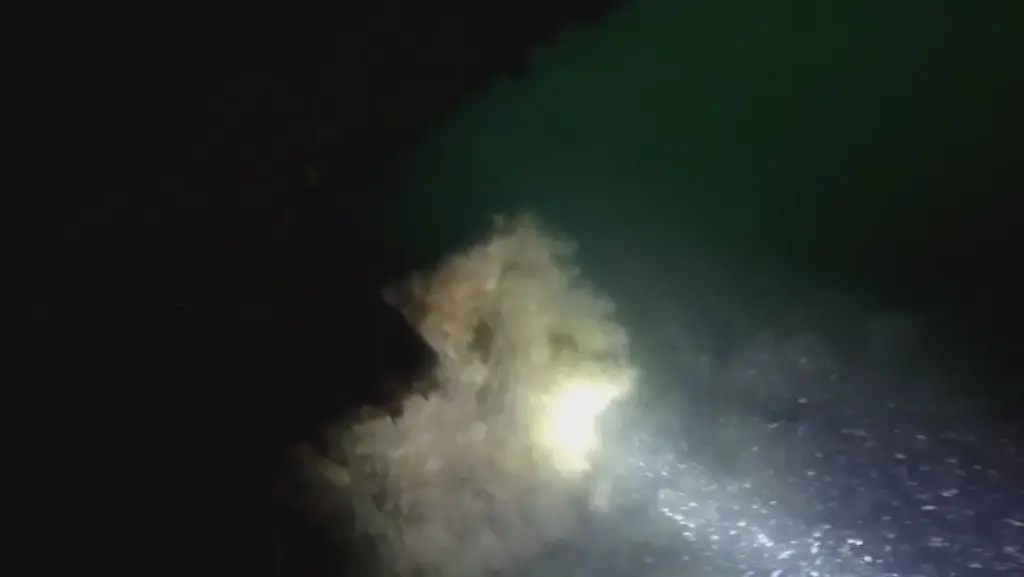 2017-09-19-standaard2