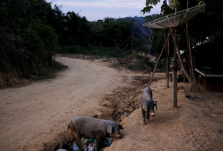 9c67b319c23c7966ce0b5b3bae3af396