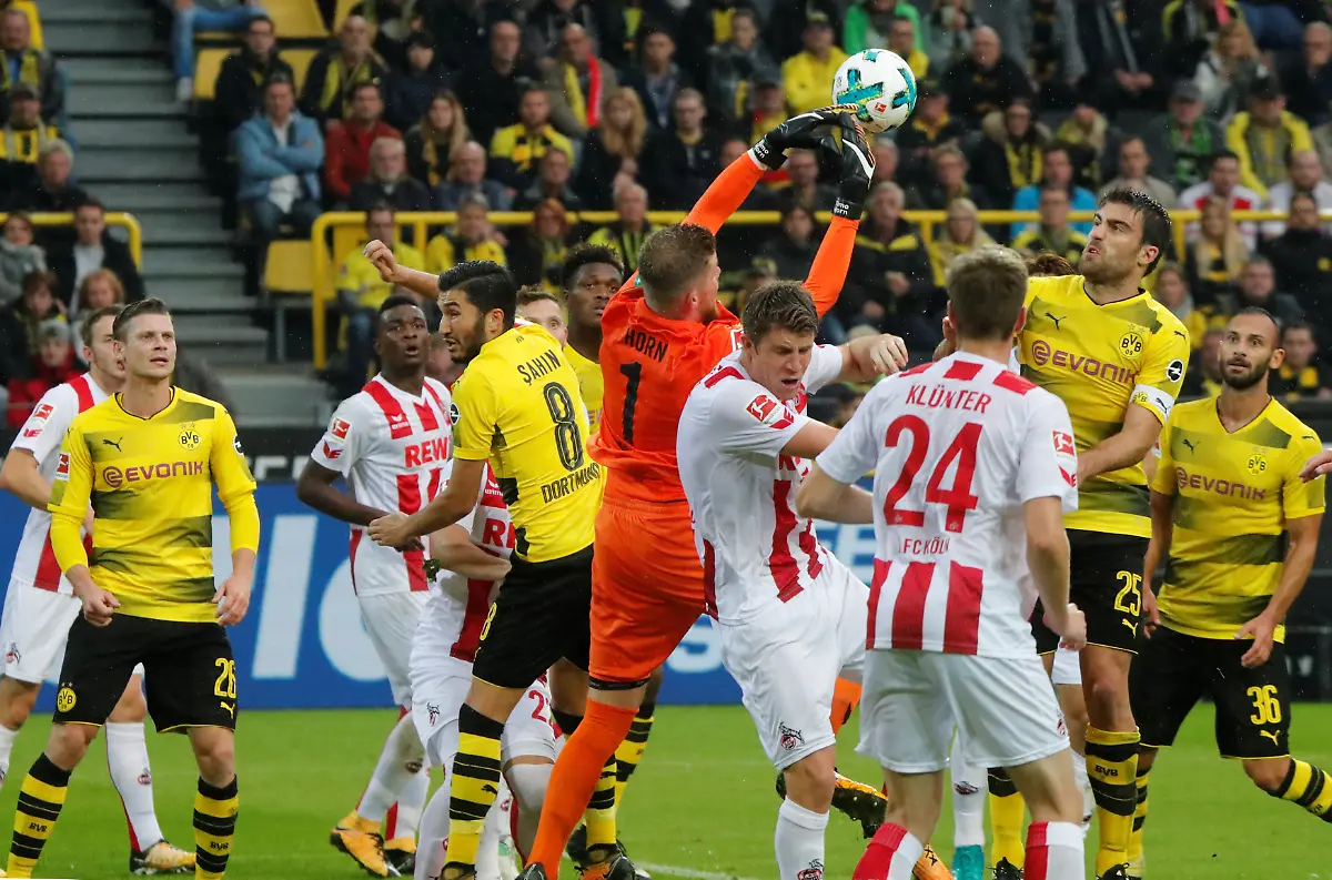 ee7c9a5ffa33a95de221d7a2ea9fc359