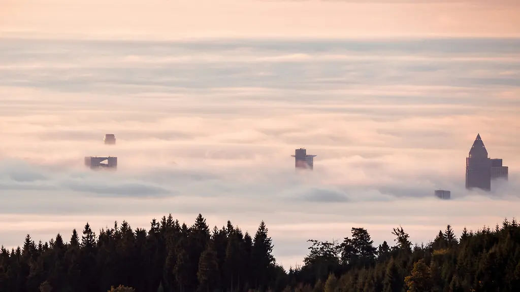 4959d09c3244de4cdea325d2a5efe210