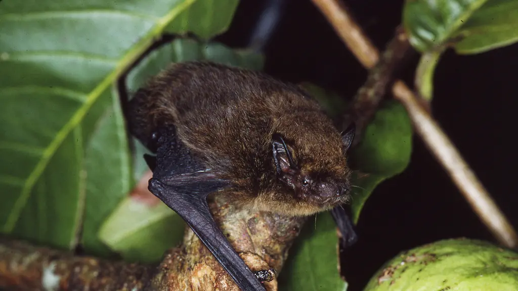 Nur-im-Zusammenhang-mit-der-aktuellen-Berichterstattung