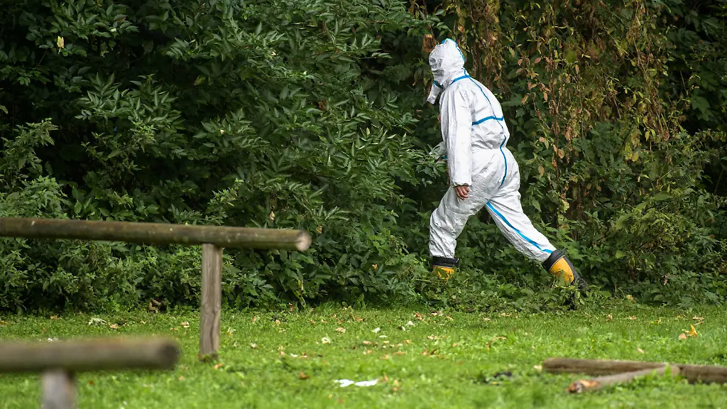 9105c01ea30f5e35f0985c5f53fbd850