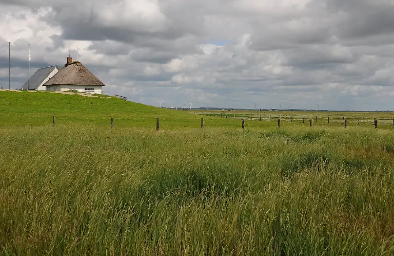 salzwiesen-hamburger