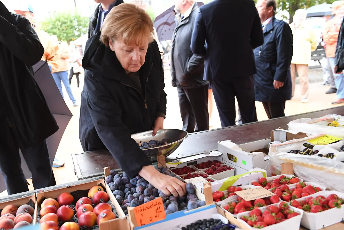 4e3dc38513ef0a0b1fded6b7c5440641