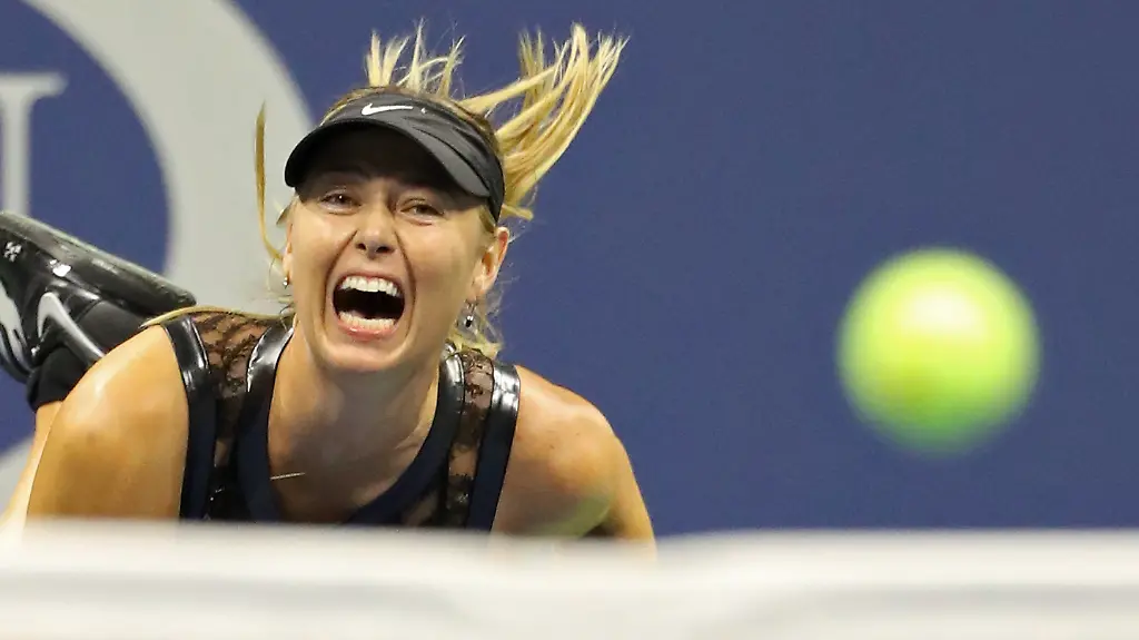 05a4ea7a28de51daff4f3f6d6e6a057e