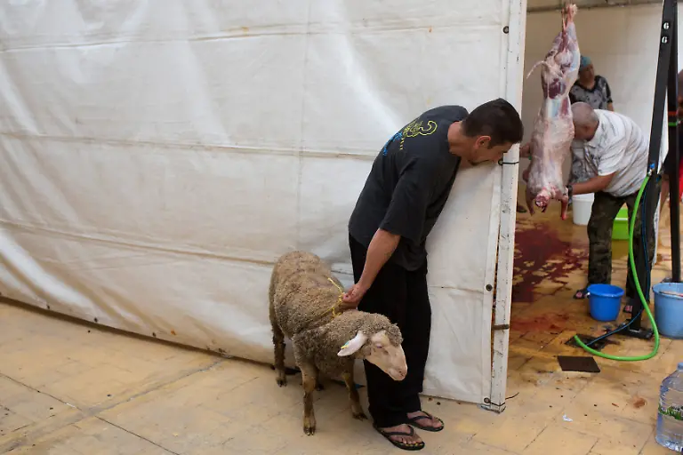 7da68195d17e4ec840f914a4f16c66ee