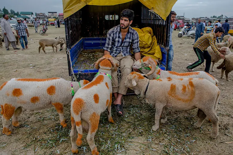 773d4426c949199e3058a653198b7f50