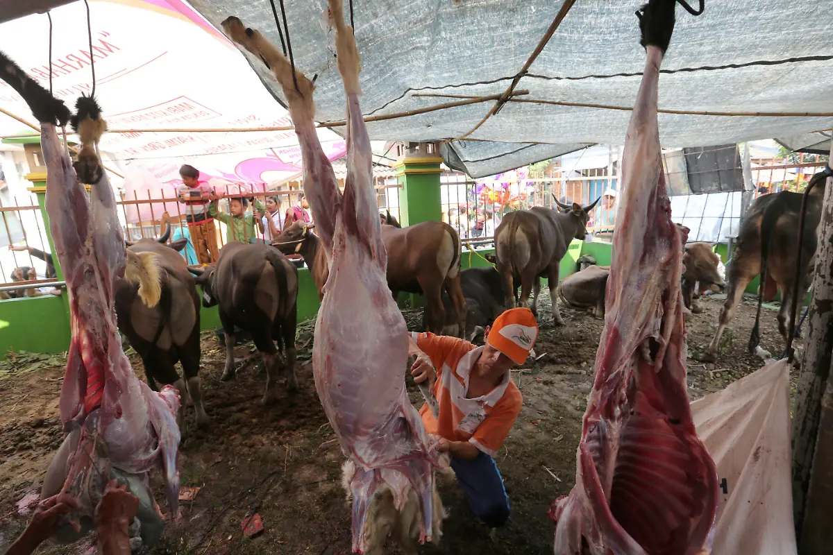 122c9e9cee0c8347c0a43dee07de7eda