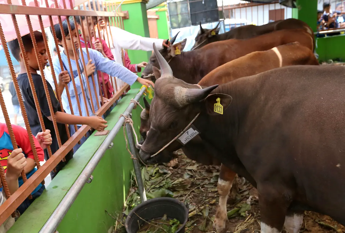 375ef5e4d6ce1db99c026ec42655378a