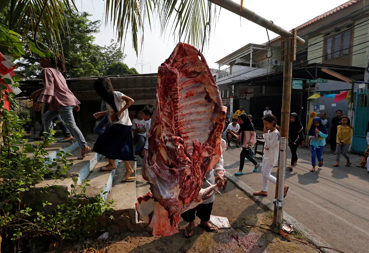 529784ca6e61ff3a139dd882a4bdaca6