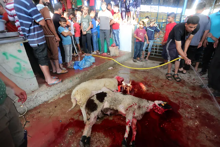 e15f721b85e46472de0cdb38e97019d8