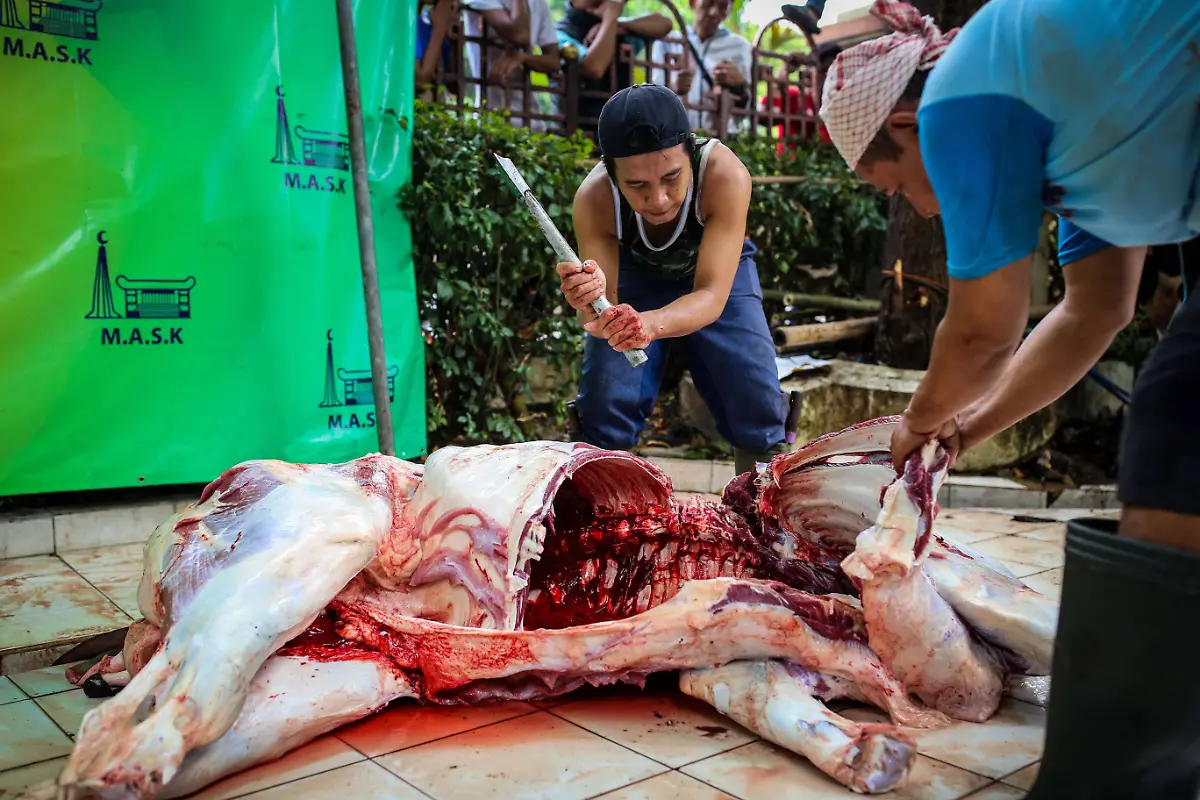 3cf67f4ad59b68b3c657f91c5ca723c9