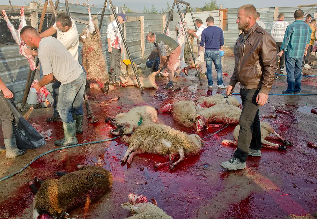 64d6a8373461c8c9551998fe635178c0