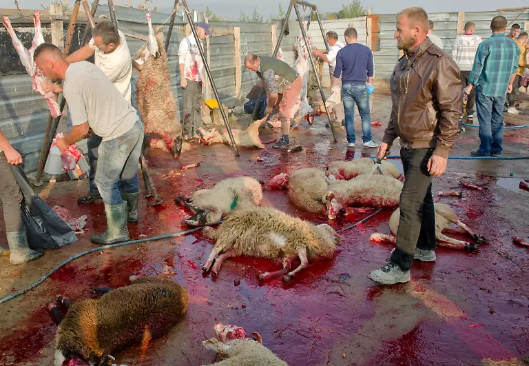 64d6a8373461c8c9551998fe635178c0