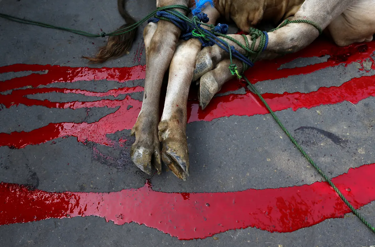 d86f7d3778cd84dfe2d0b7c95fa98e0a