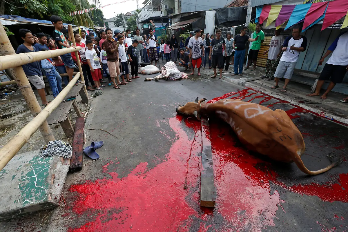 b2bf2b3bd17d1a95b0621c20fa1b2bf5