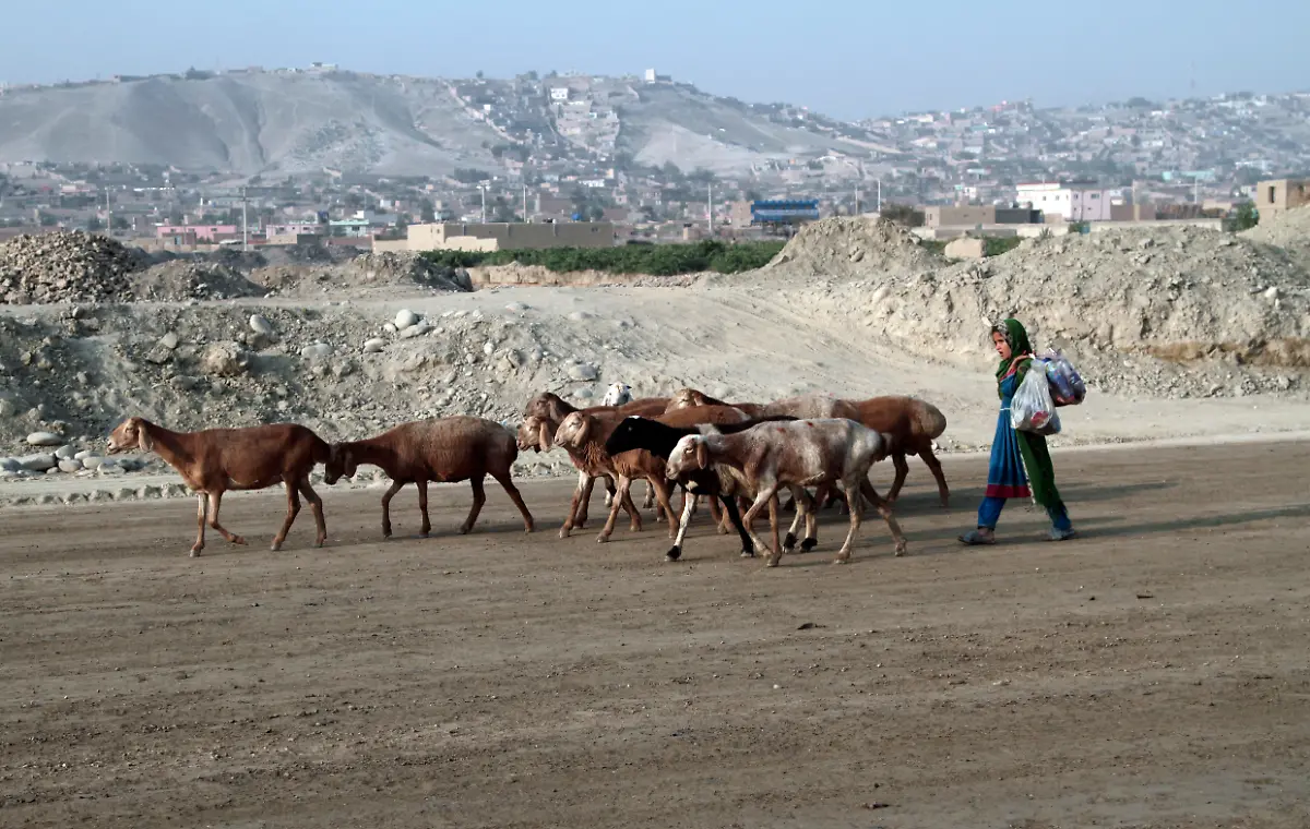 b3e1e59bc507c19af45726f44f80186f