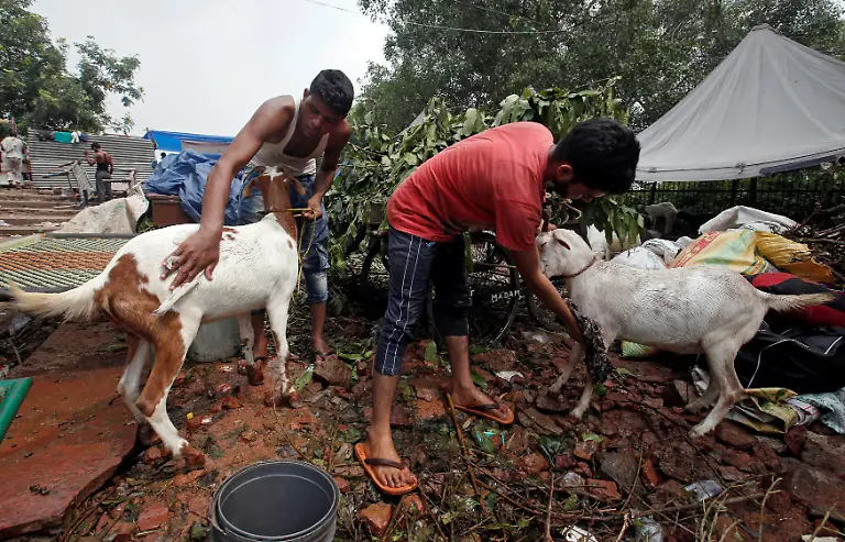 48f4fd096fec7e0021459a219069163c