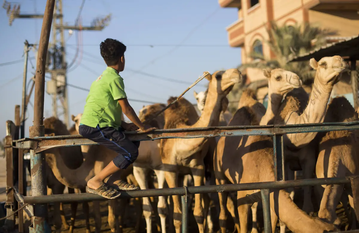 c352fa809fabfafd4bb954026104b55b