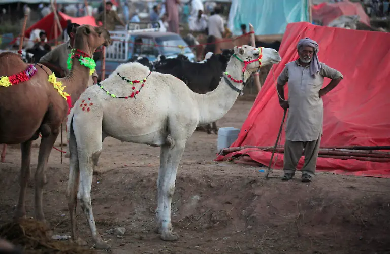 c7c7c36be264c4a0516742de57bce479