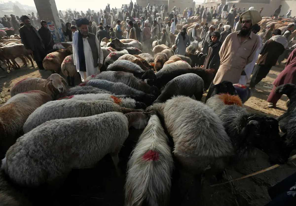 512d4fb97c82f0986f29012d1e2351d4