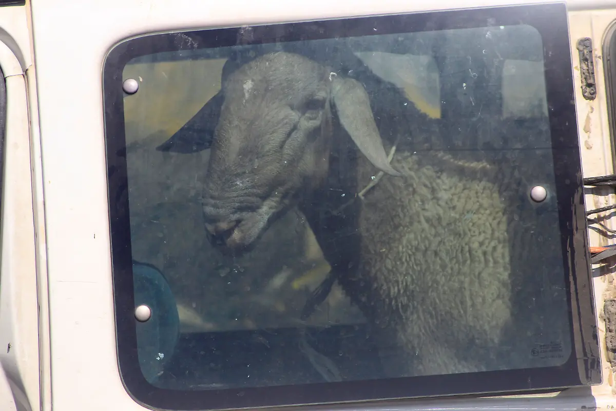 7afce98a71f544ea6f8a287282be5604