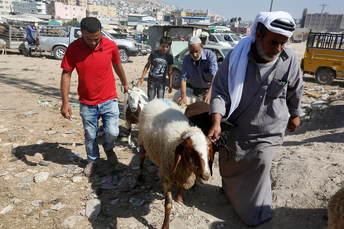 474f1f522cf43cd993b8b993edcd3b9b