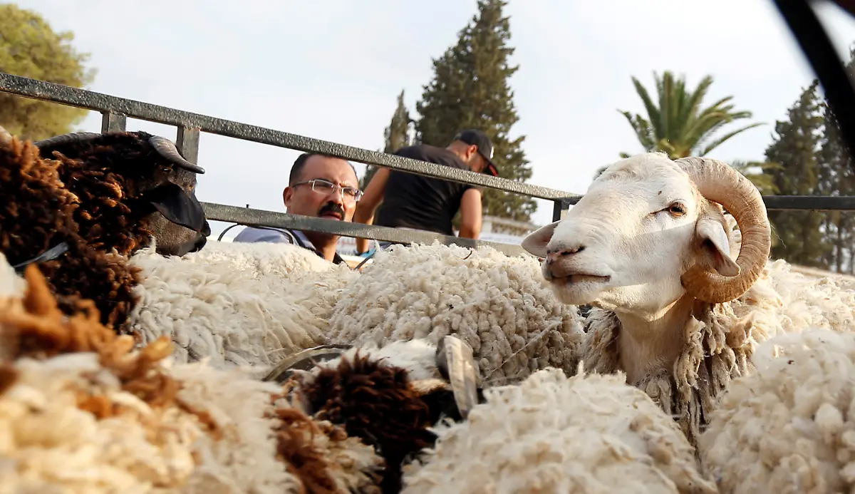 b8662fd21b3749c30c27f4cdeef924ec