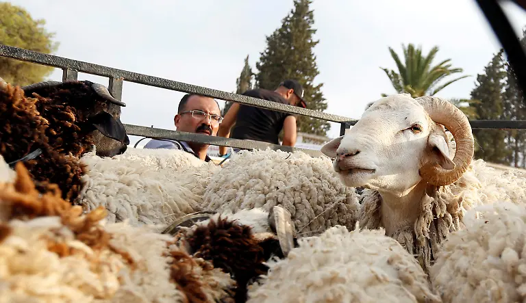 b8662fd21b3749c30c27f4cdeef924ec