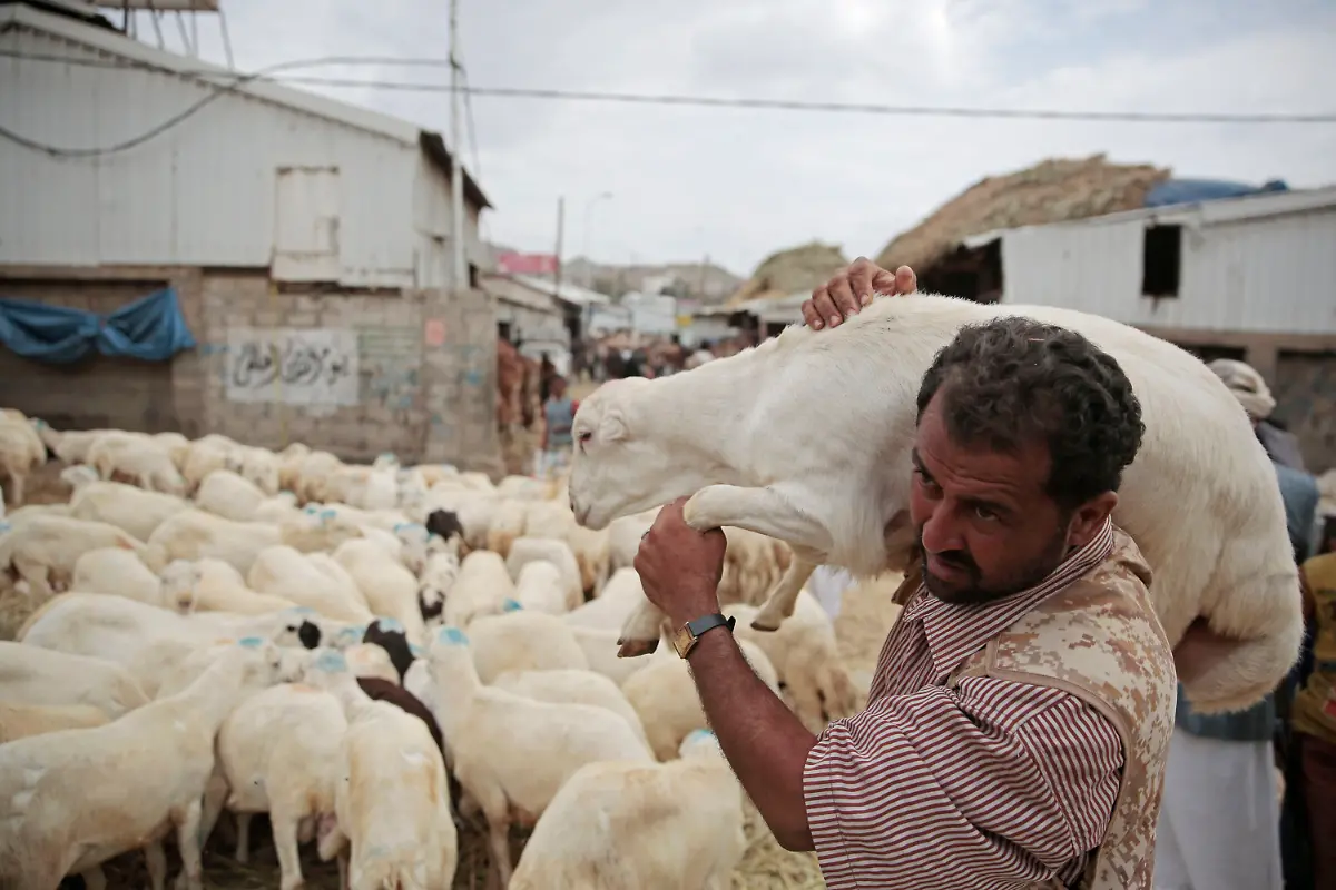 1028b94a98f02aa6172104cd06e304c3