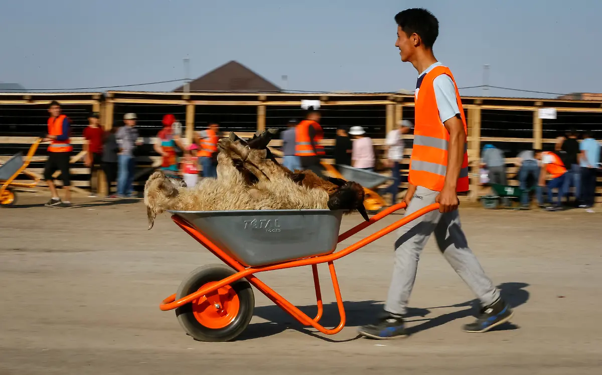 35a0aedfaae5e4a8b92eb085116ee05d