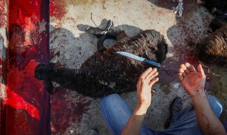 ac638801891d2b70fbef50817f365be9