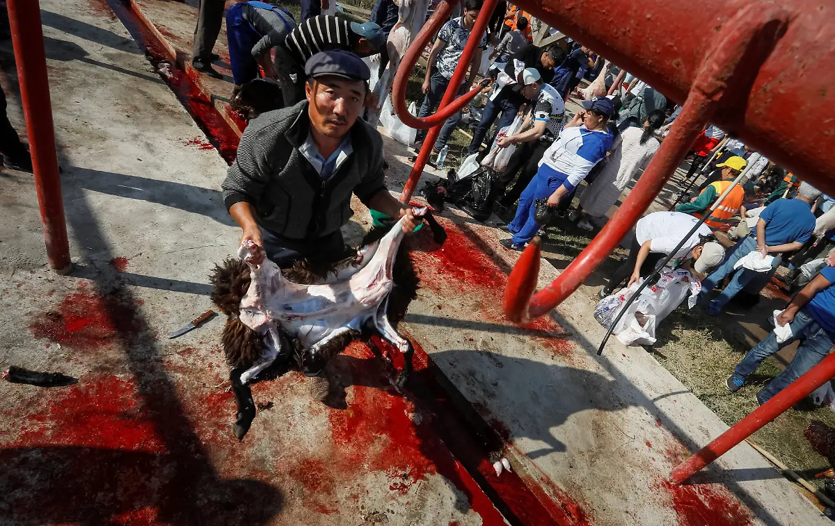 65363dac9f979f00a1b095d15db07b37