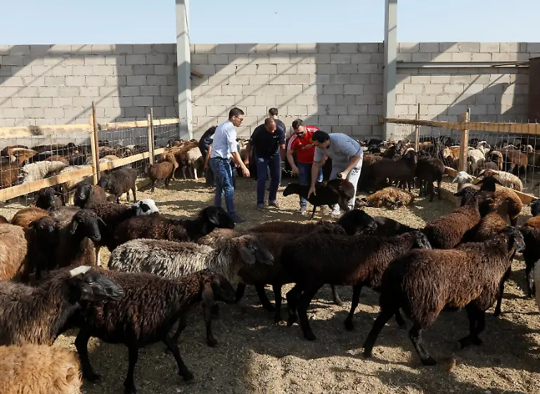 8cdea57822d419b3ac11782f2c5d241b