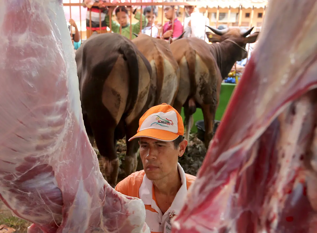 ef303328be6e5399daf2f8a4aa45d747