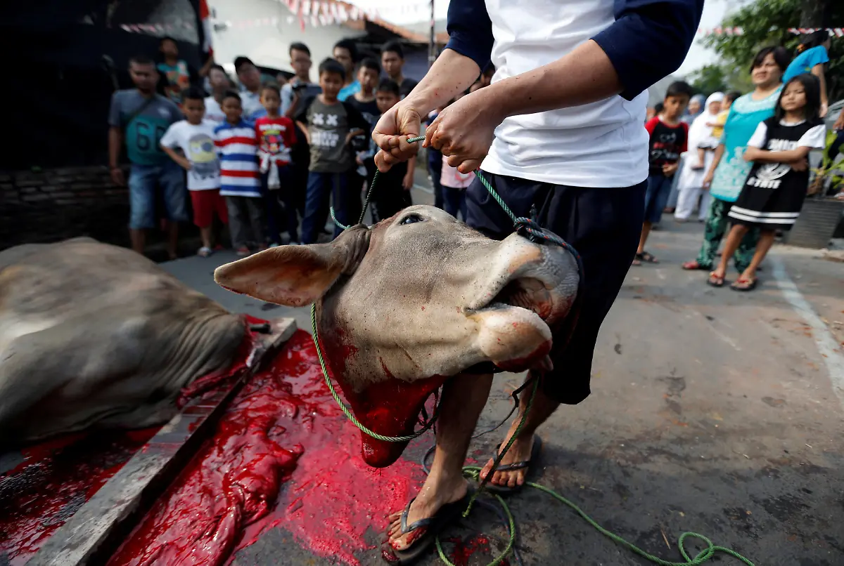 c92e7fc2b0b6f941f9e39ca66c2551eb